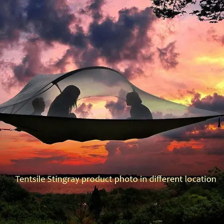 Kommee Kurki Tentsile Puumajoitus