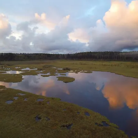 Campsite Kommee Kurki Tentsile Puumajoitus